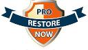 Pro Restore Now logo